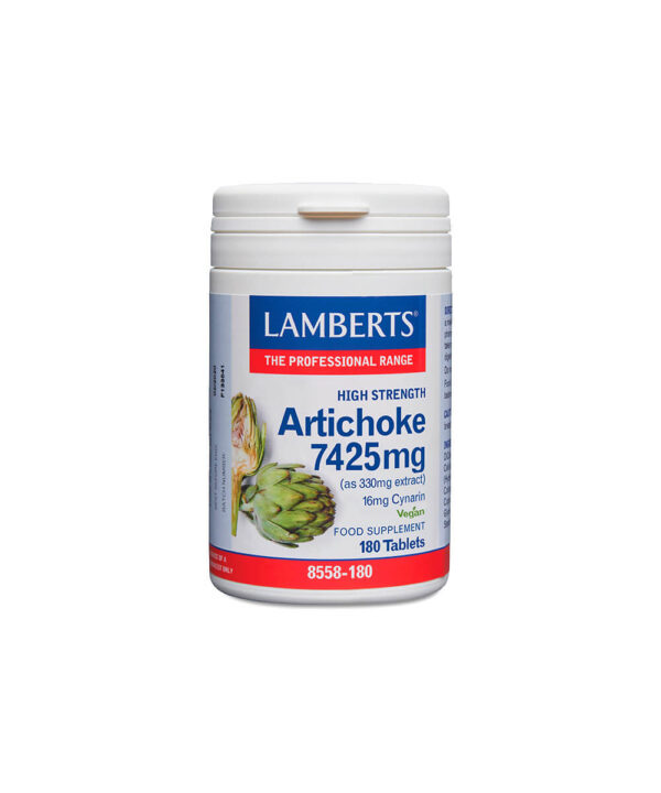 artichoke_8558-180