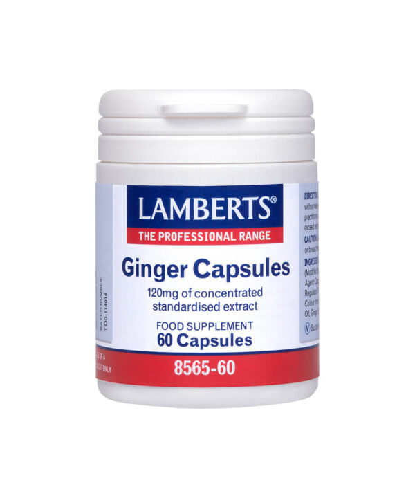 ginger_8565-60